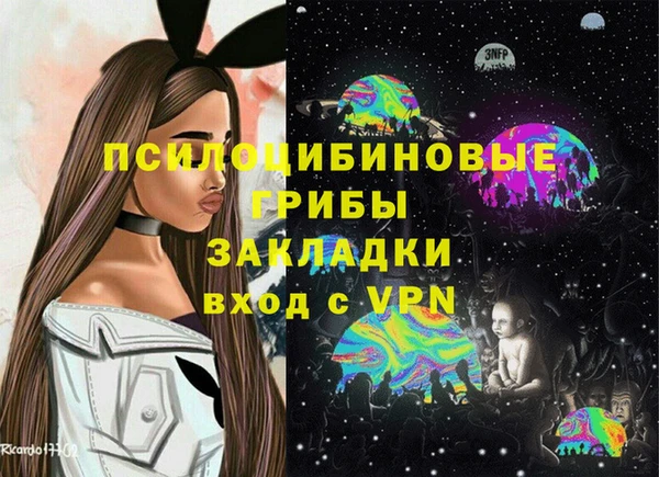 PSILOCYBIN Бронницы