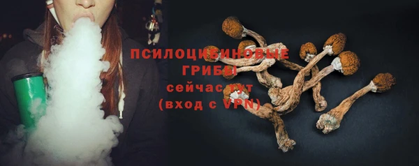 PSILOCYBIN Бронницы