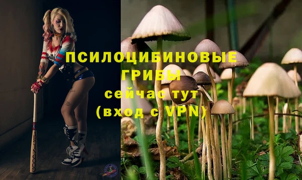 эйфоретик Верхний Тагил
