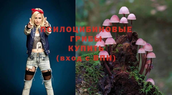 дживик Бугульма