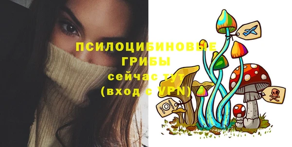 PSILOCYBIN Бронницы